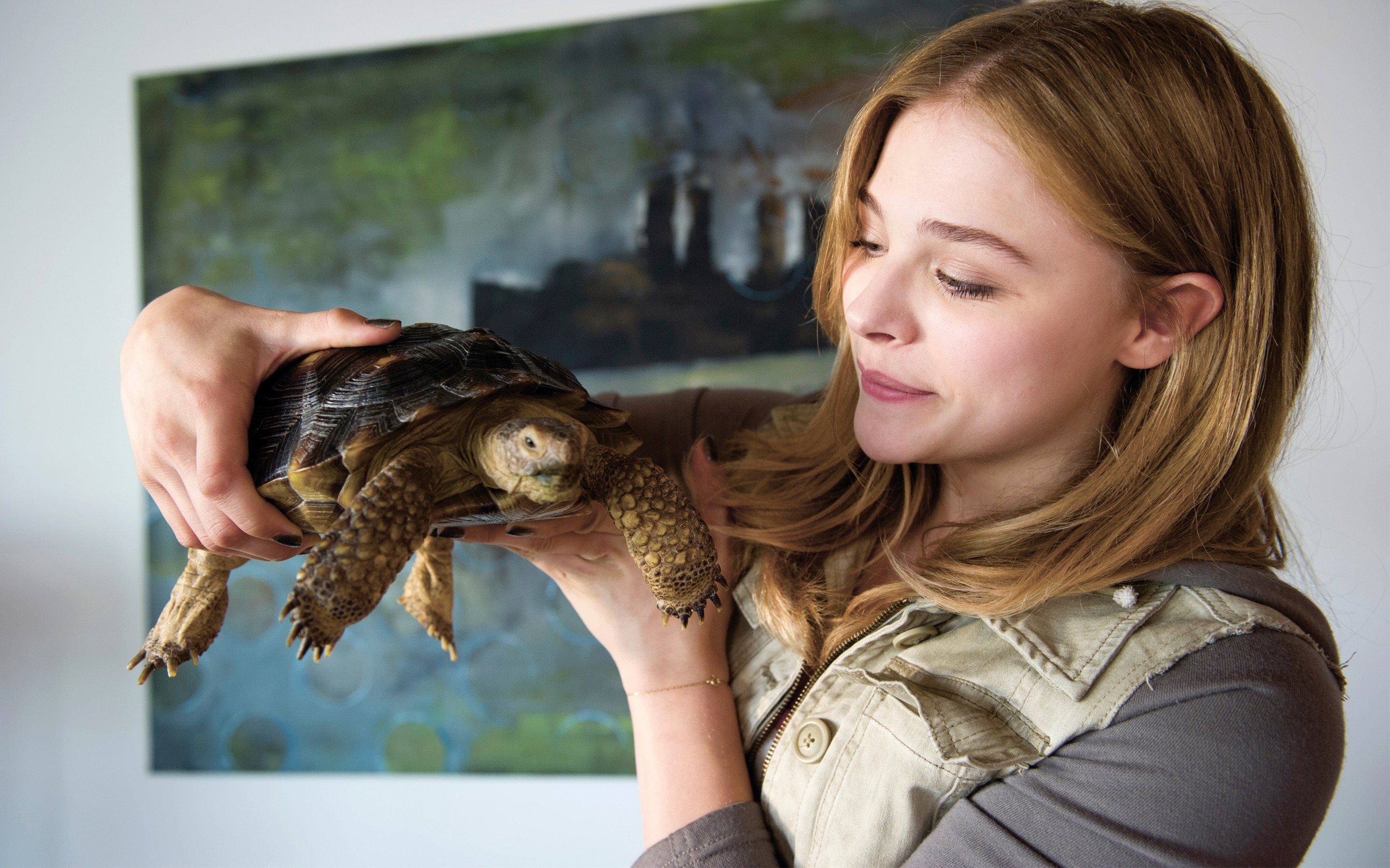 chloe grace moretz turtle Wallpaper