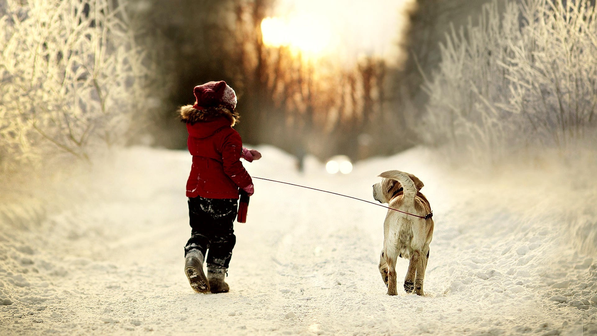 dog children Wallpaper