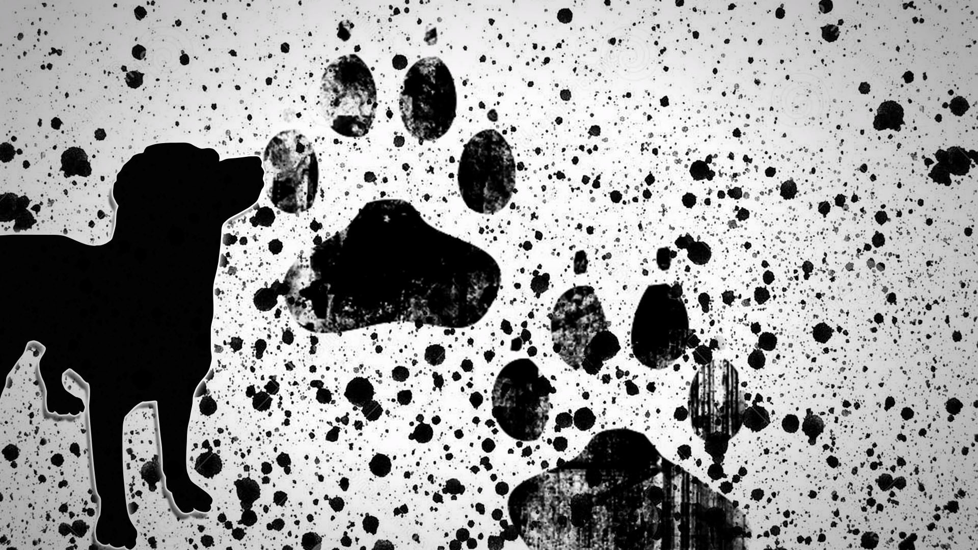 painting paws dog puppies paint splatter Wallpaper
