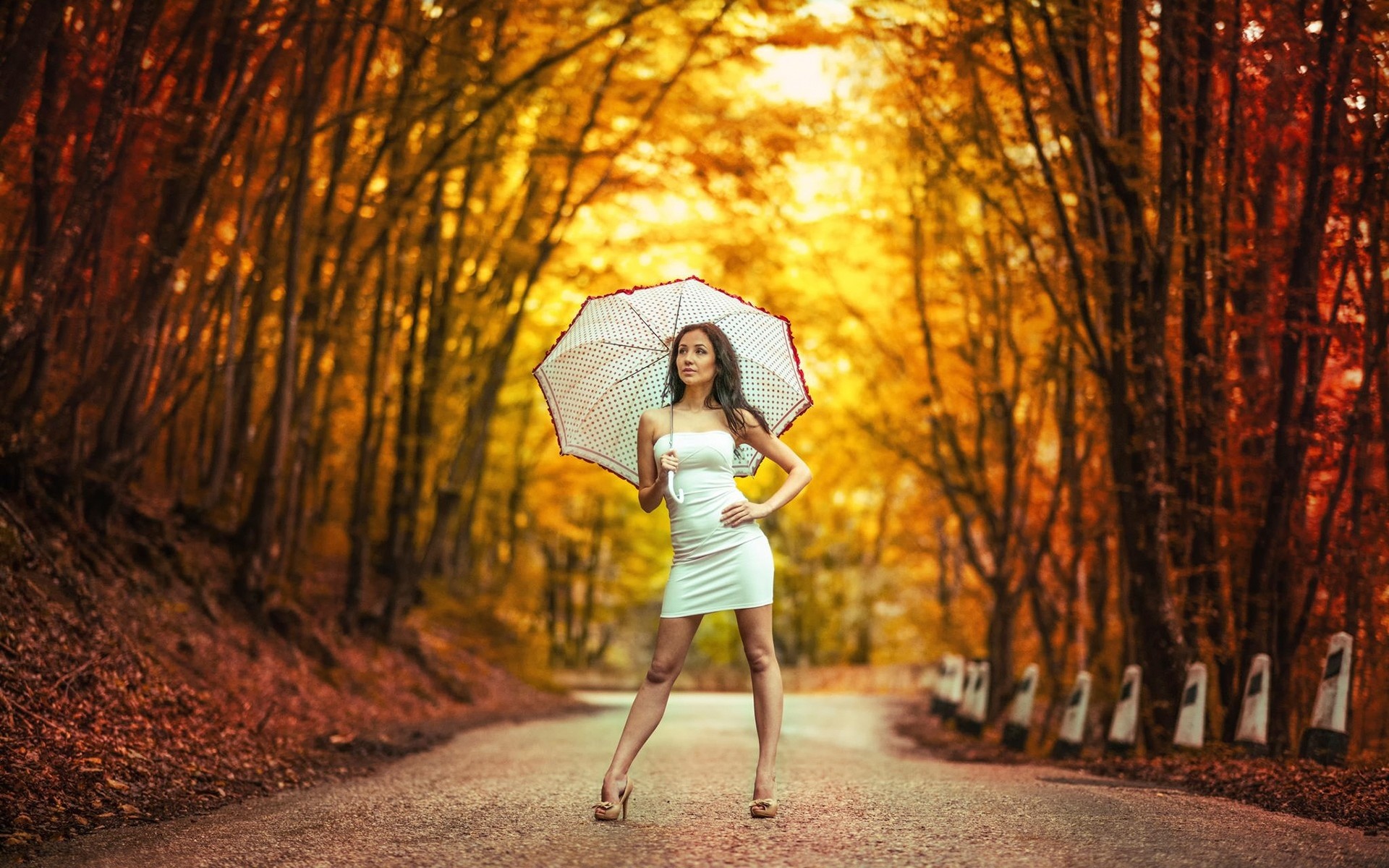women model long hair women outdoors trees white dress road leaves fall high heels umbrella brunette Wallpaper