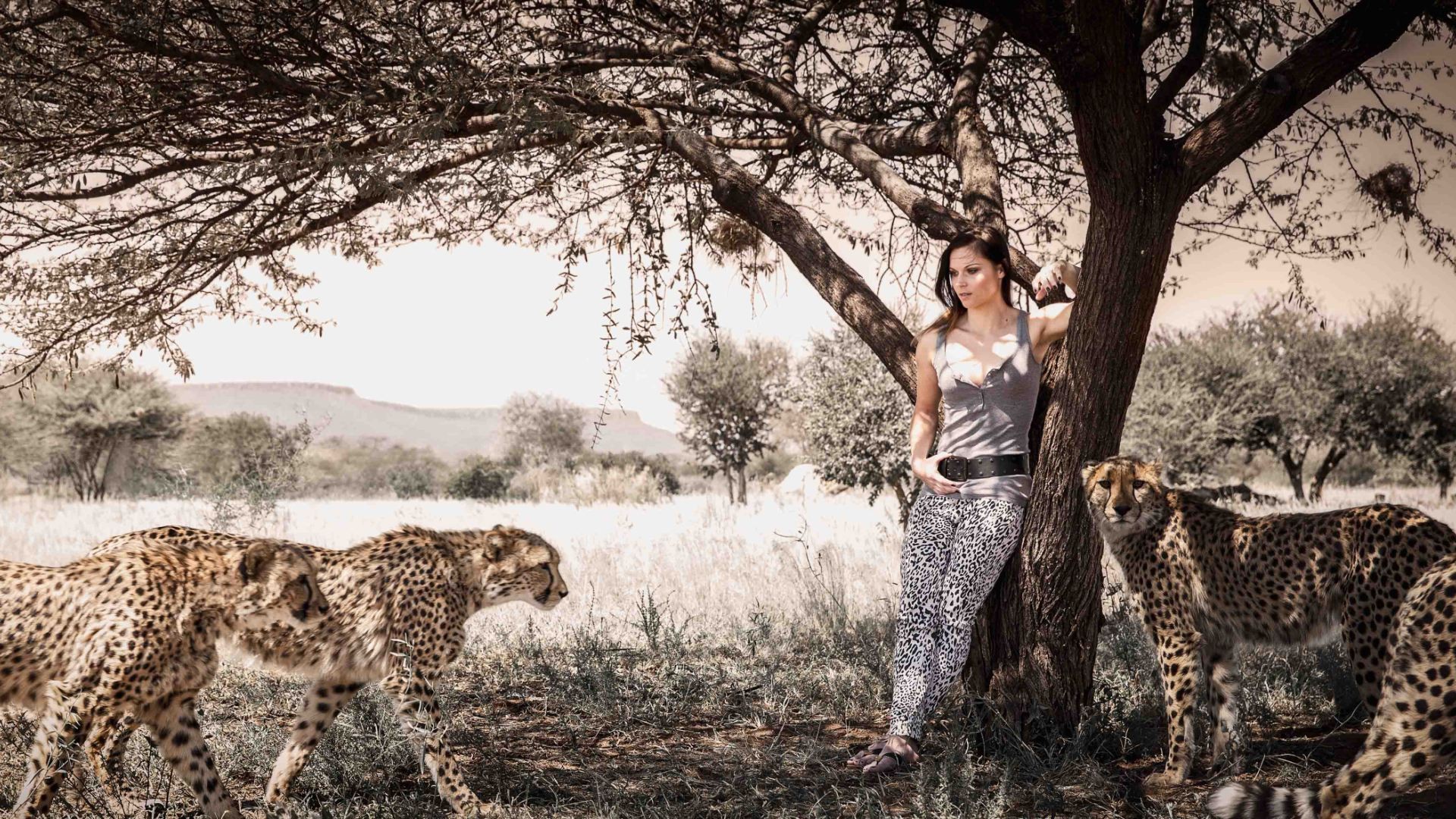 women nature brunette model cheetahs women outdoors Wallpaper