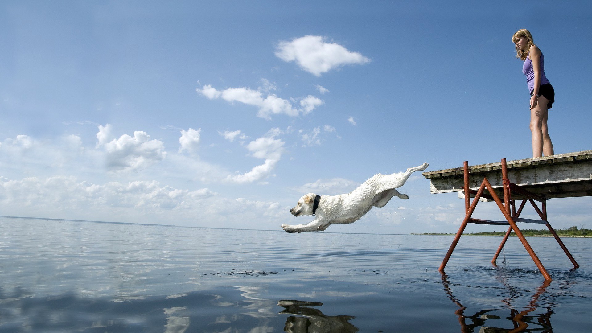 women dog sea Wallpaper