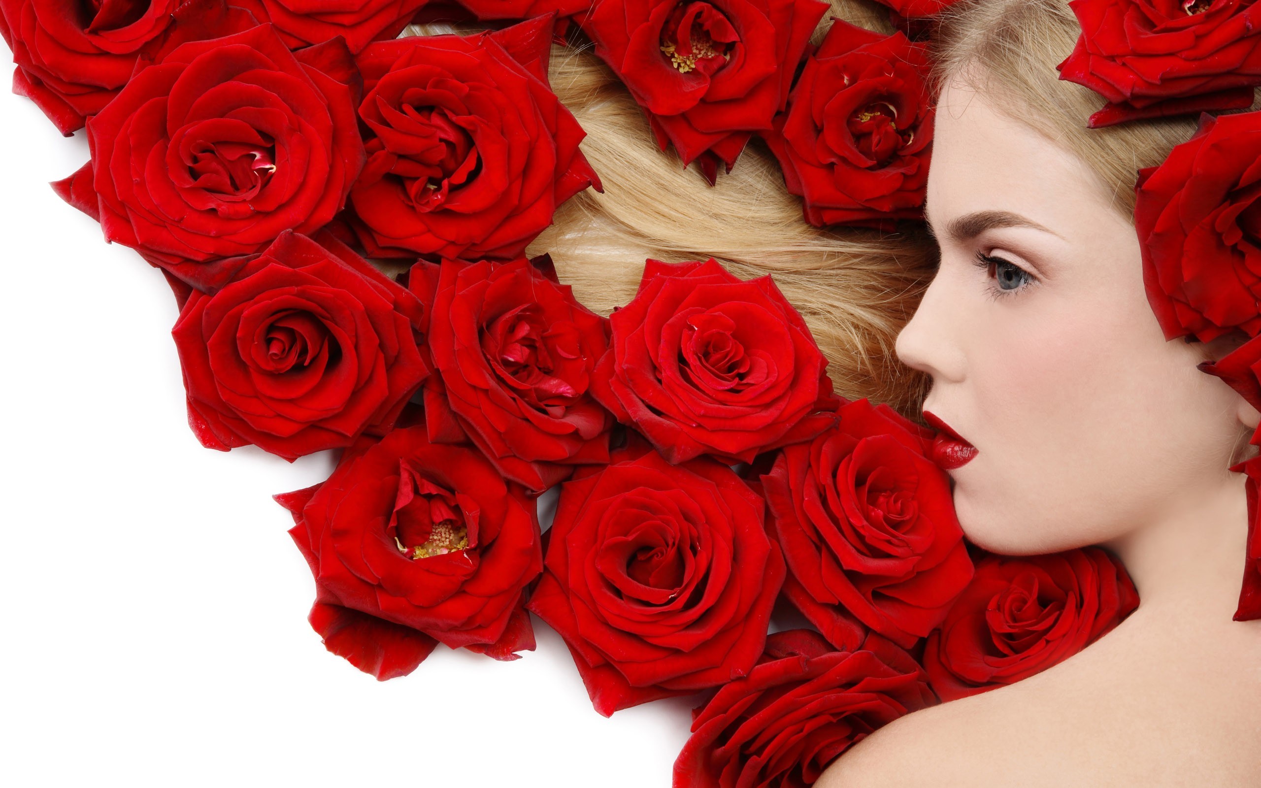 women model blonde face red lipstick blue eyes flowers rose profile white background red flowers Wallpaper