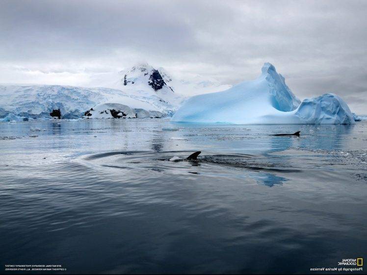 national geographic whale iceberg sea antarctica snow ripples HD Wallpaper Desktop Background