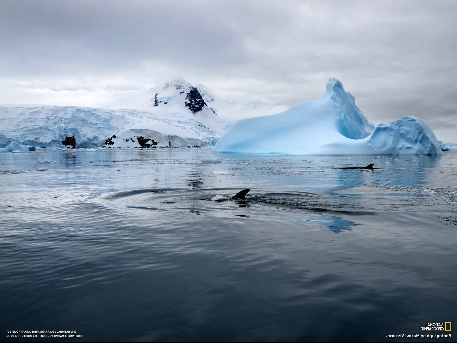 national geographic whale iceberg sea antarctica snow ripples Wallpaper