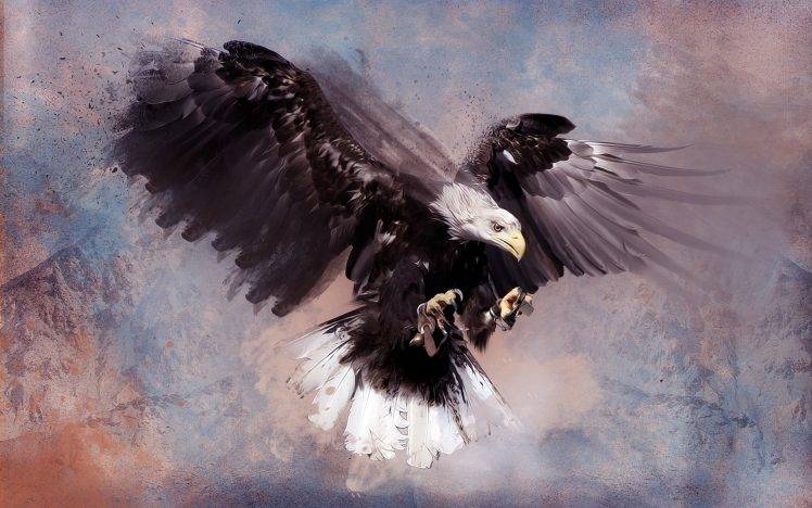 eagle artwork HD Wallpaper Desktop Background