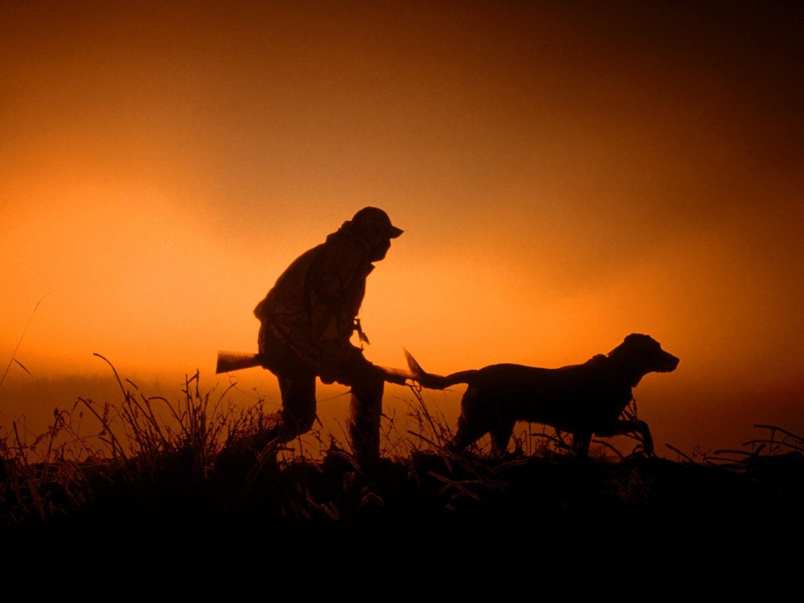 hunting silhouette dog sunset Wallpaper