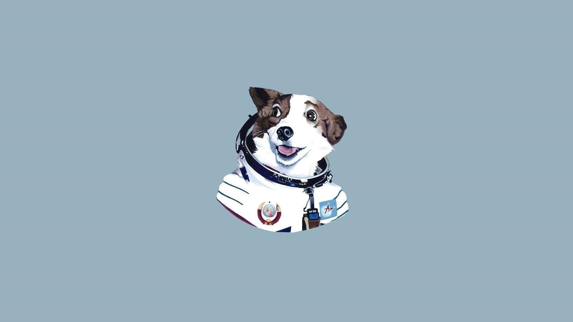 dog astronauta minimalism Wallpaper