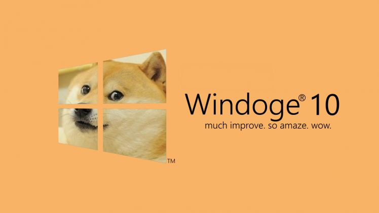 microsoft windows windows 10 doge dog memes HD Wallpaper Desktop Background