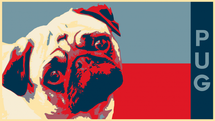 pug dog hope minimalism HD Wallpaper Desktop Background