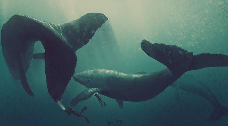 whale divers artwork HD Wallpaper Desktop Background