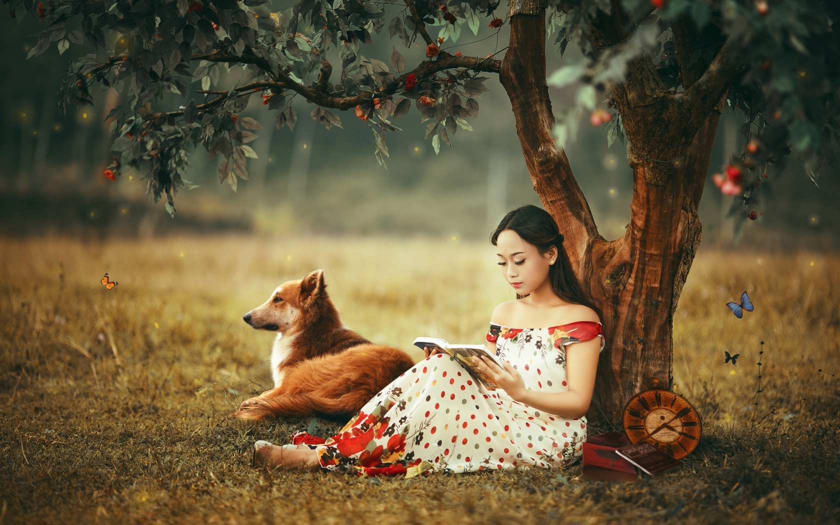 asian books dog trees butterfly Wallpaper