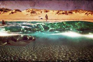 kim kardashian shark beach water vintage photoshopped