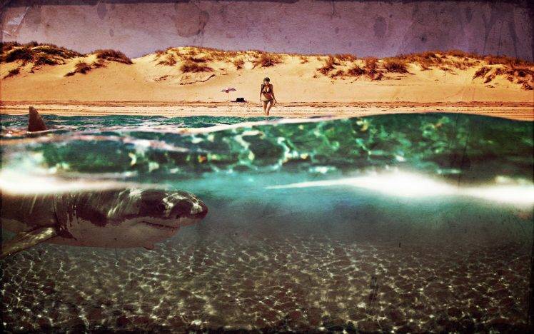 kim kardashian shark beach water vintage photoshopped HD Wallpaper Desktop Background