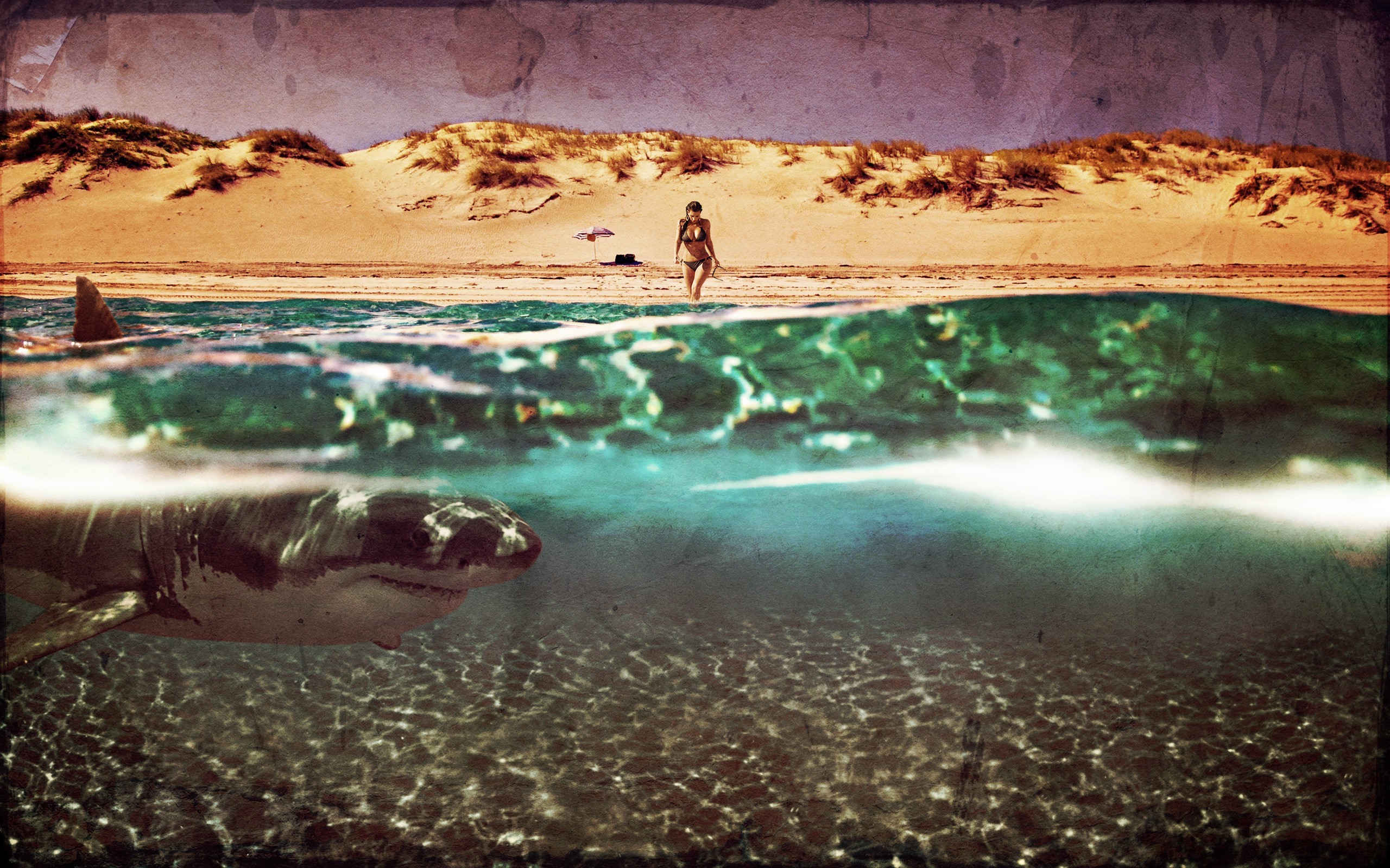 kim kardashian shark beach water vintage photoshopped Wallpaper