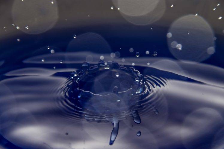 germany nikon water drops rain eagle photography HD Wallpaper Desktop Background