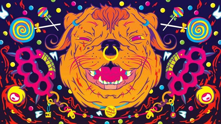 colorful dog humor HD Wallpaper Desktop Background