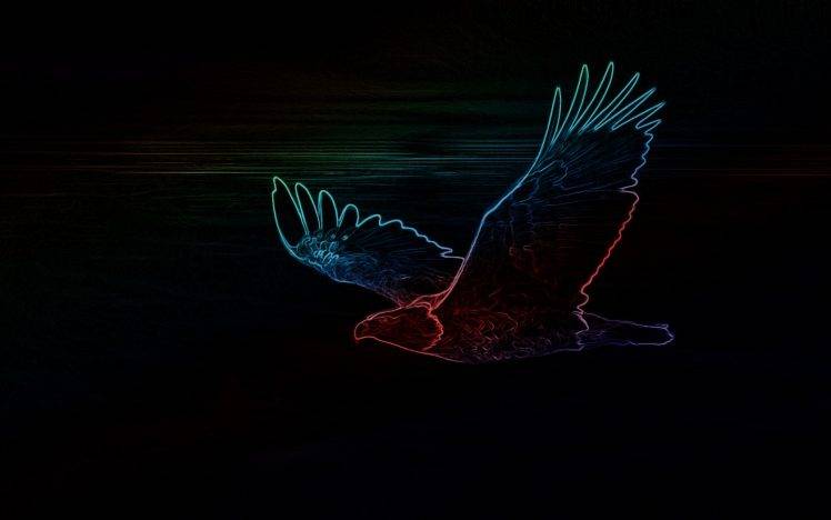 neon eagle black HD Wallpaper Desktop Background