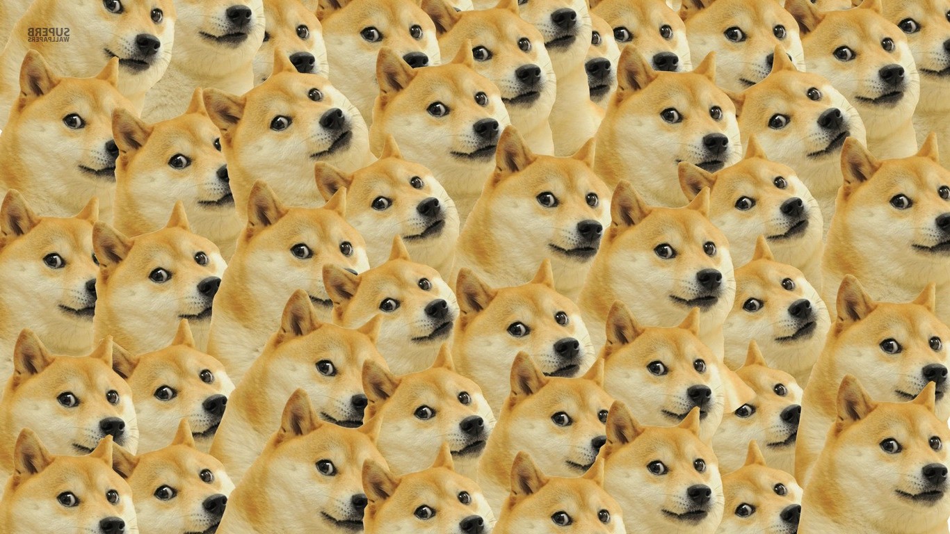 doge face memes dog Wallpaper
