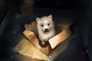 puppies boxes animals dog artwork