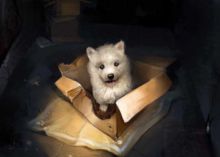 puppies boxes animals dog artwork HD Wallpaper Desktop Background