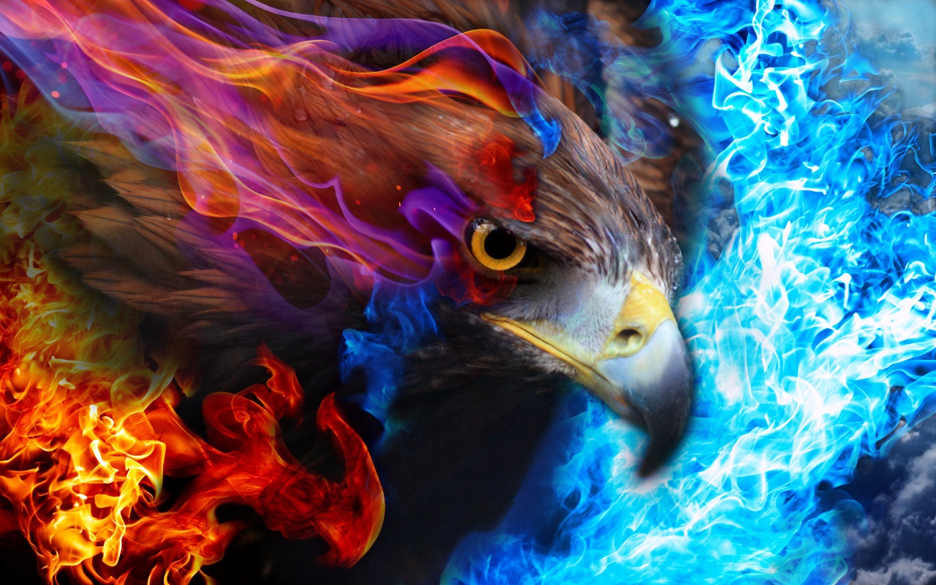 eagle fire sky Wallpaper