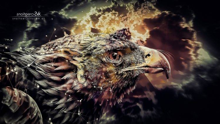 eagle HD Wallpaper Desktop Background