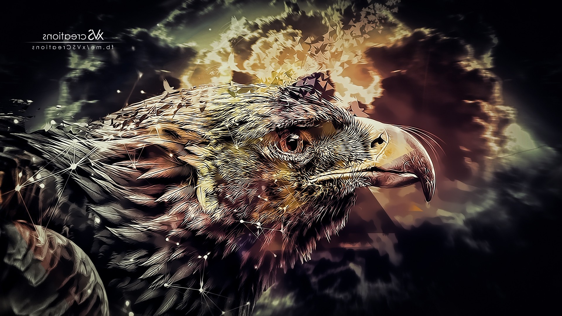 eagle Wallpaper