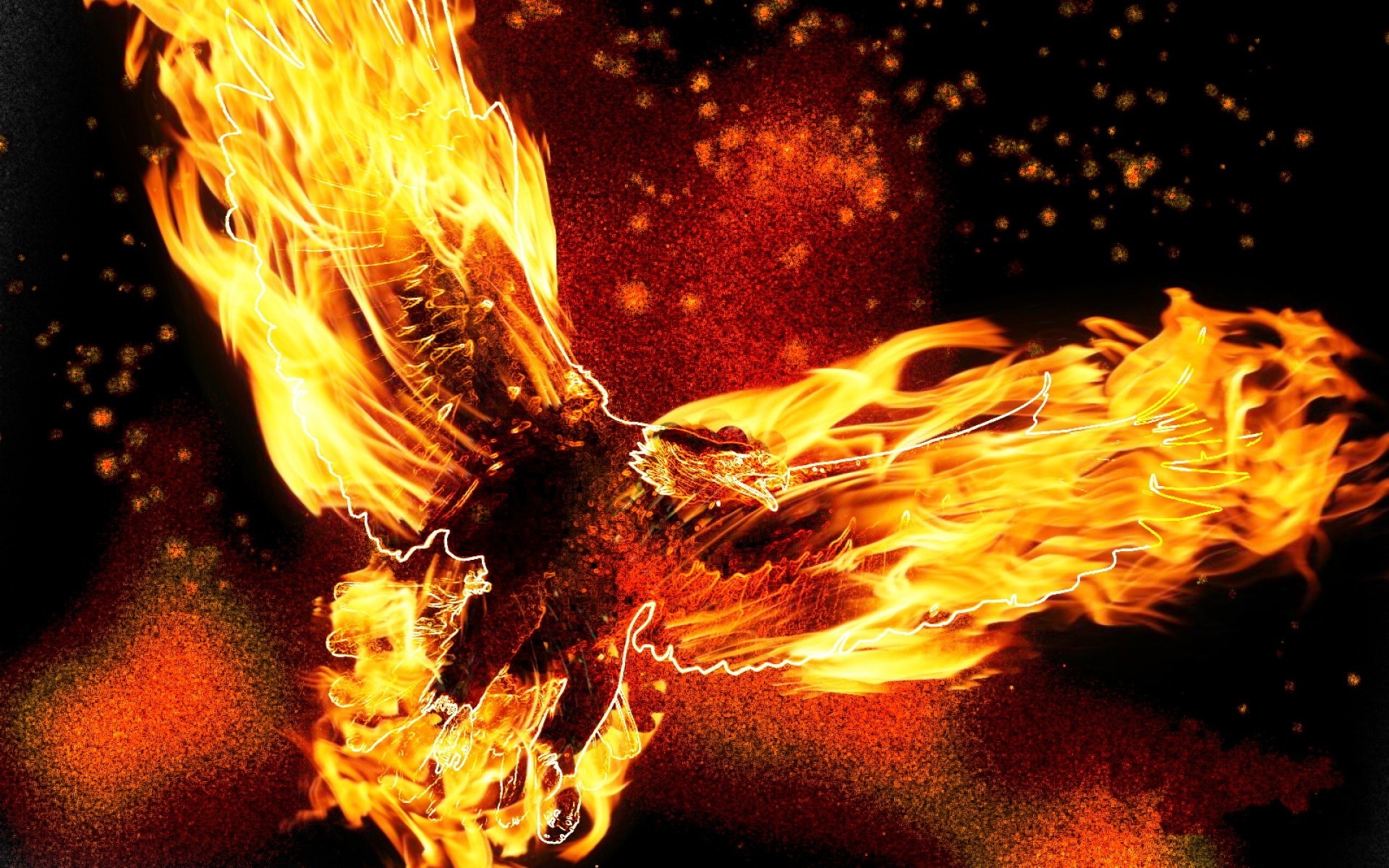 fire eagle Wallpapers HD / Desktop and Mobile Backgrounds