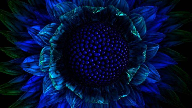 blue, Flowers HD Wallpaper Desktop Background
