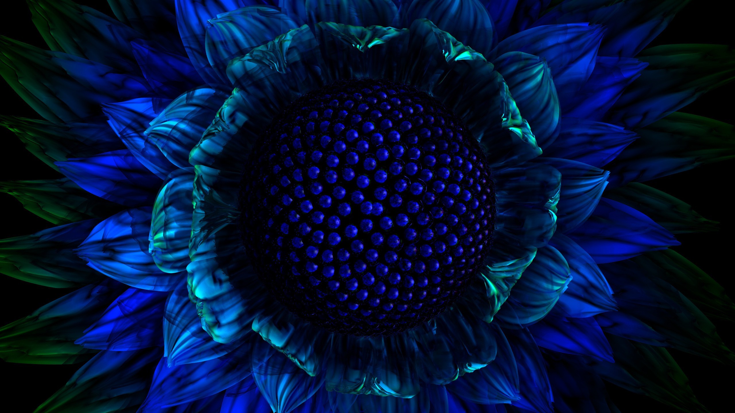 blue, Flowers Wallpaper