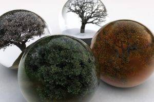digital art, Sphere, Nature, Trees