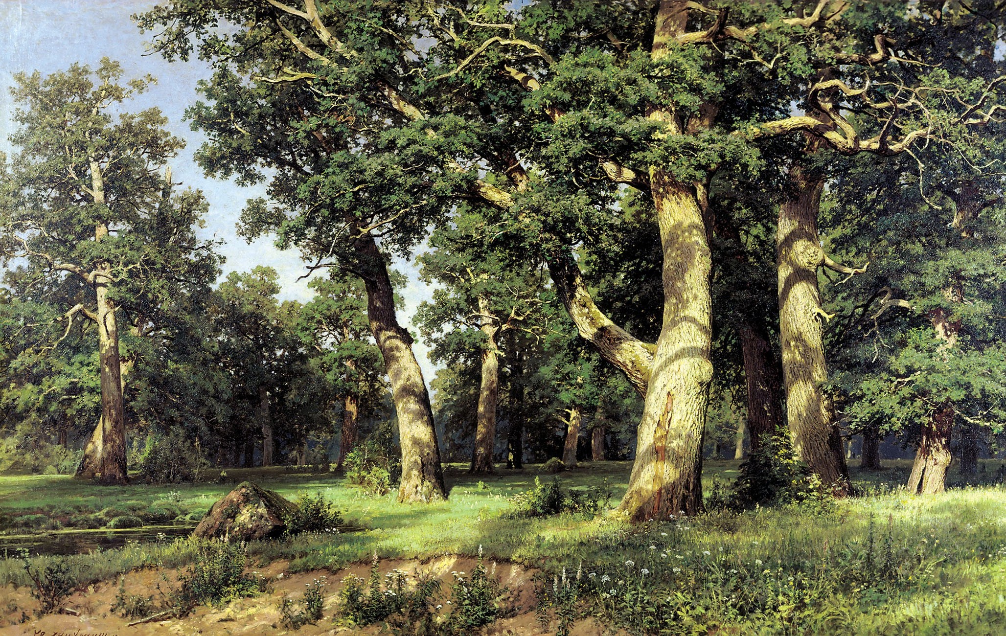 trees, Nature Wallpaper