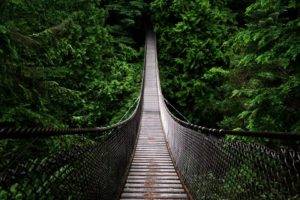 bridge, Nature, Forest