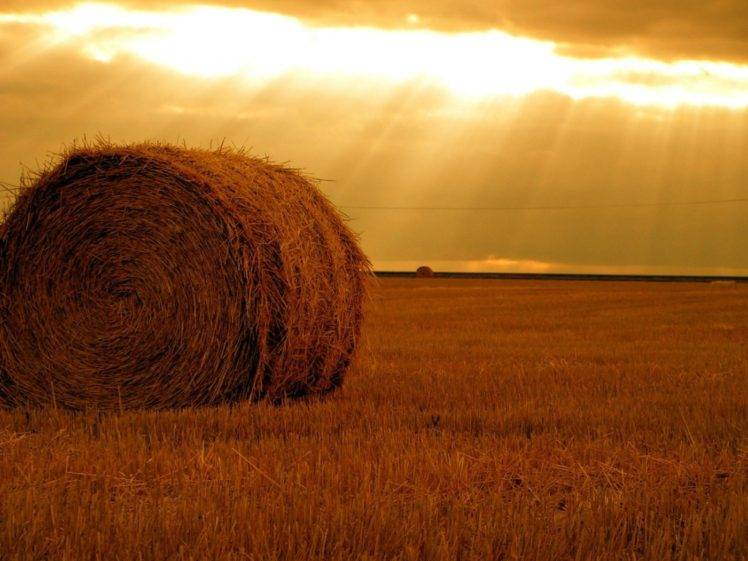 hay, Field, Farm, Sunlight, Yellow, Bright, Lights, Sunset, Grass, Horizon, Photography, Haystacks HD Wallpaper Desktop Background
