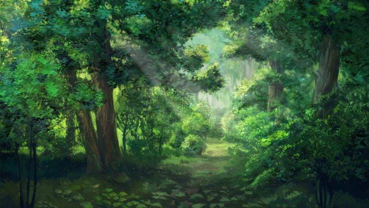 sunlight, Forest, Green, Everlasting Summer, Sun rays, Trees HD Wallpaper Desktop Background