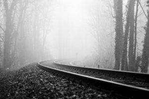 forest, Railway