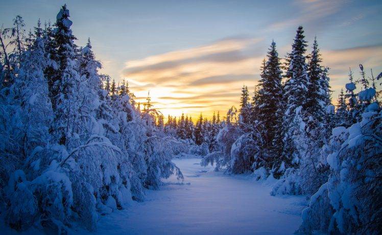 winter, Snow, Seasons, Trees HD Wallpaper Desktop Background