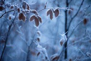 winter, Seasons, Ice