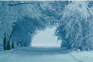 winter, Snow, Trees, Ice