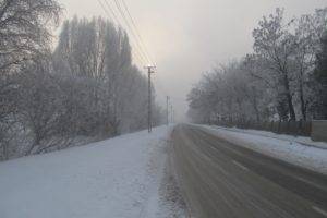 winter, Snow, Cold, Road, Trees
