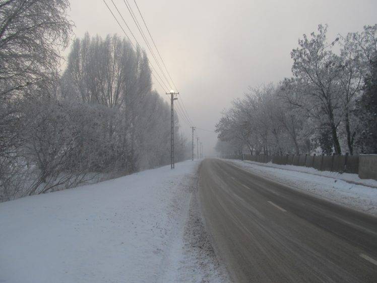 winter, Snow, Cold, Road, Trees HD Wallpaper Desktop Background