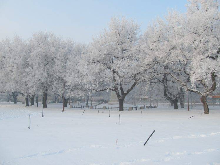 cold, Winter, Trees, Snow HD Wallpaper Desktop Background