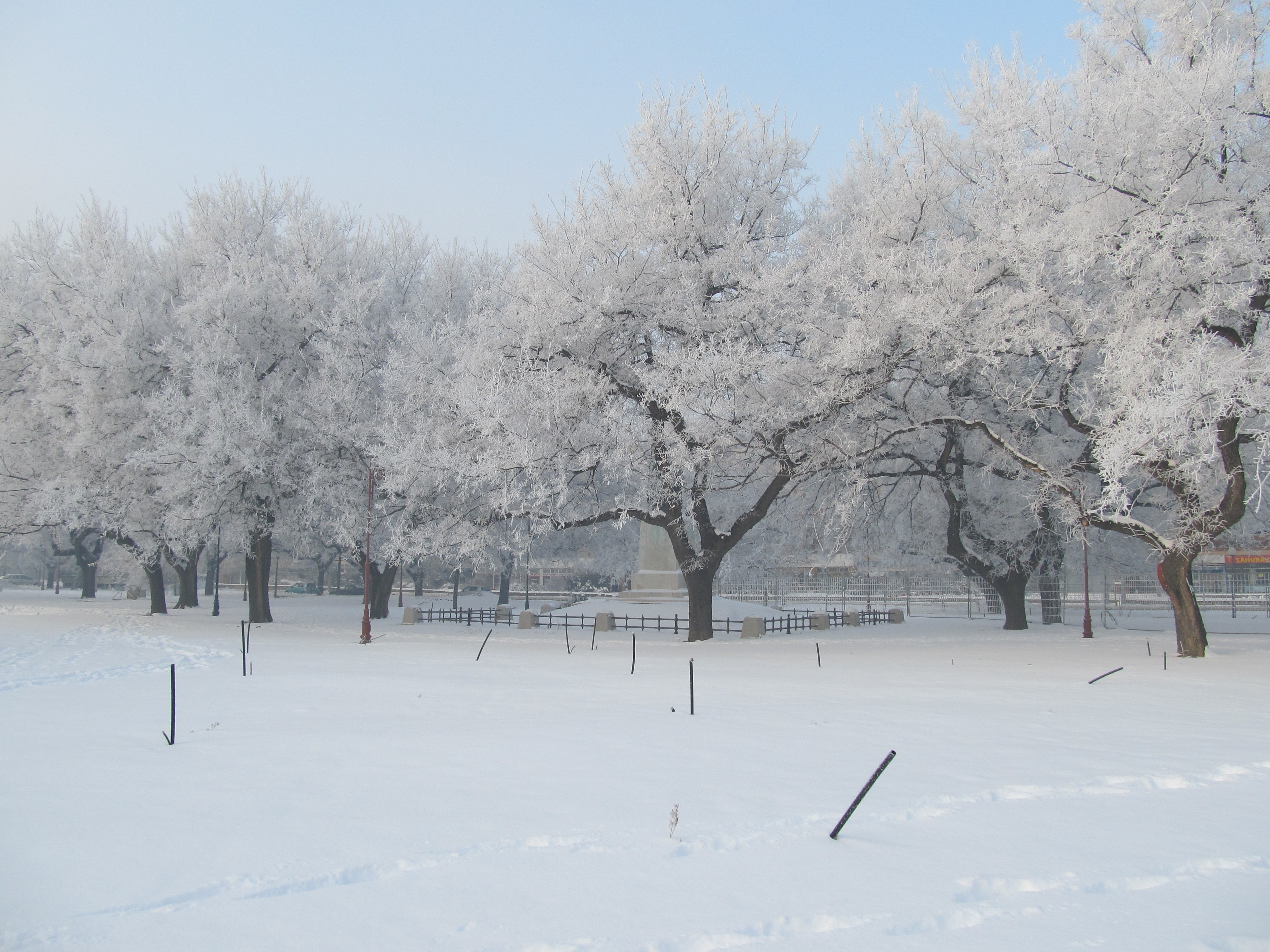 cold, Winter, Trees, Snow Wallpaper