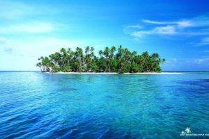 island, Palm trees