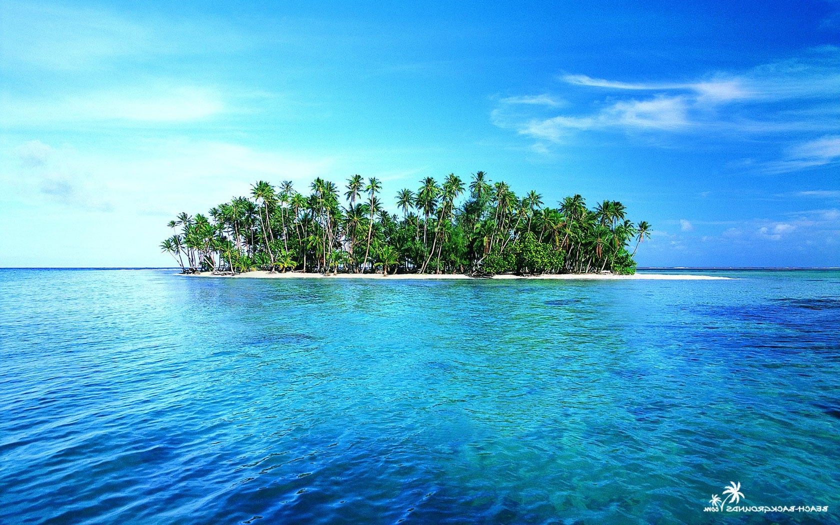 island, Palm trees Wallpaper