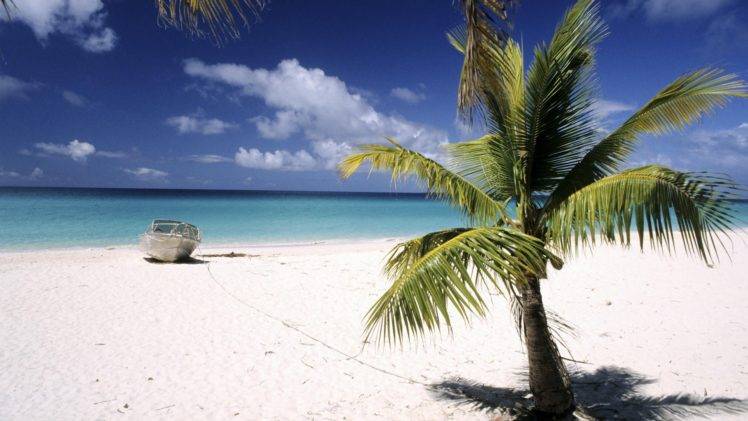 sea, Palm trees, Island HD Wallpaper Desktop Background