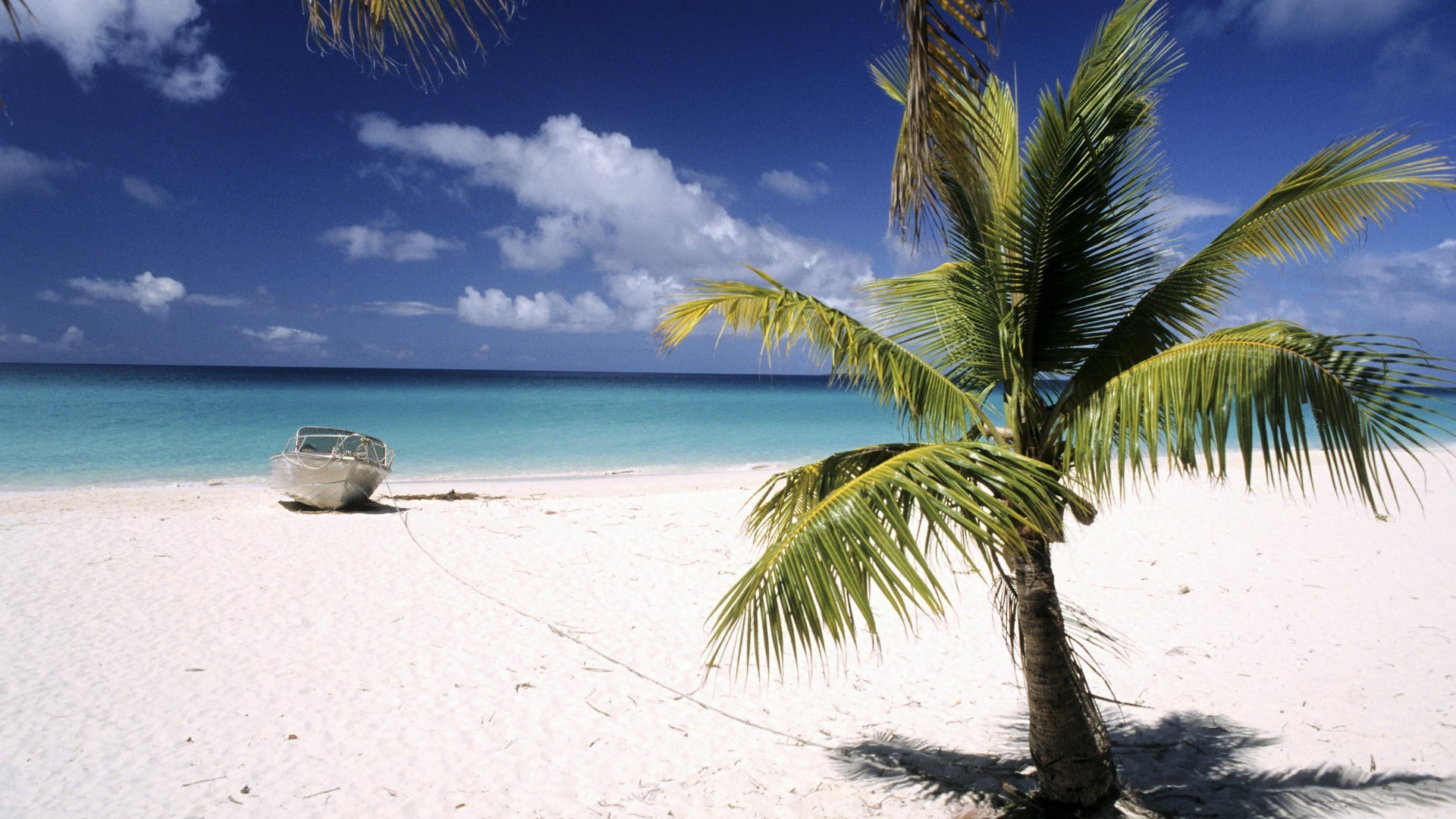 sea, Palm trees, Island Wallpaper