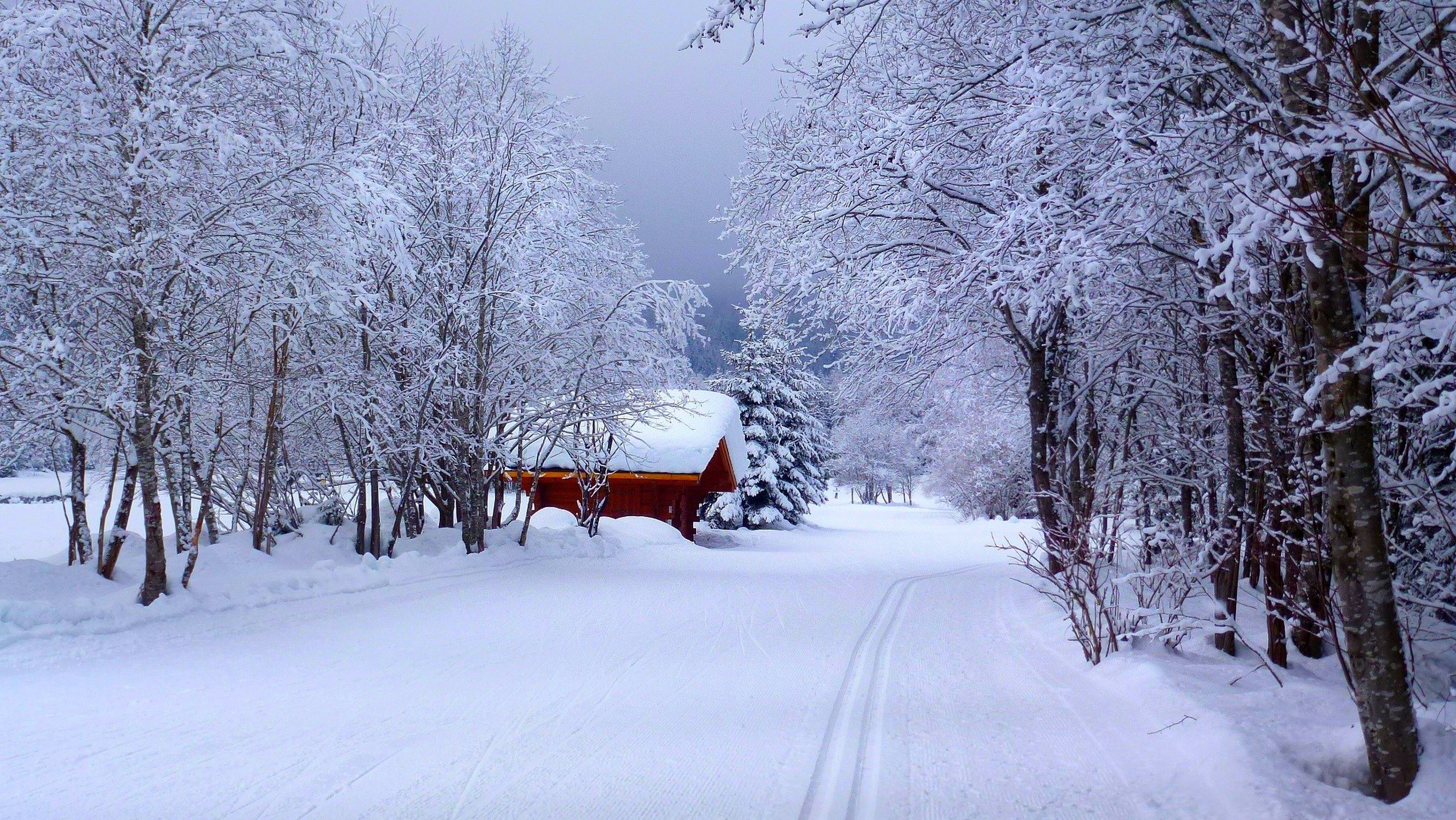 winter Wallpaper