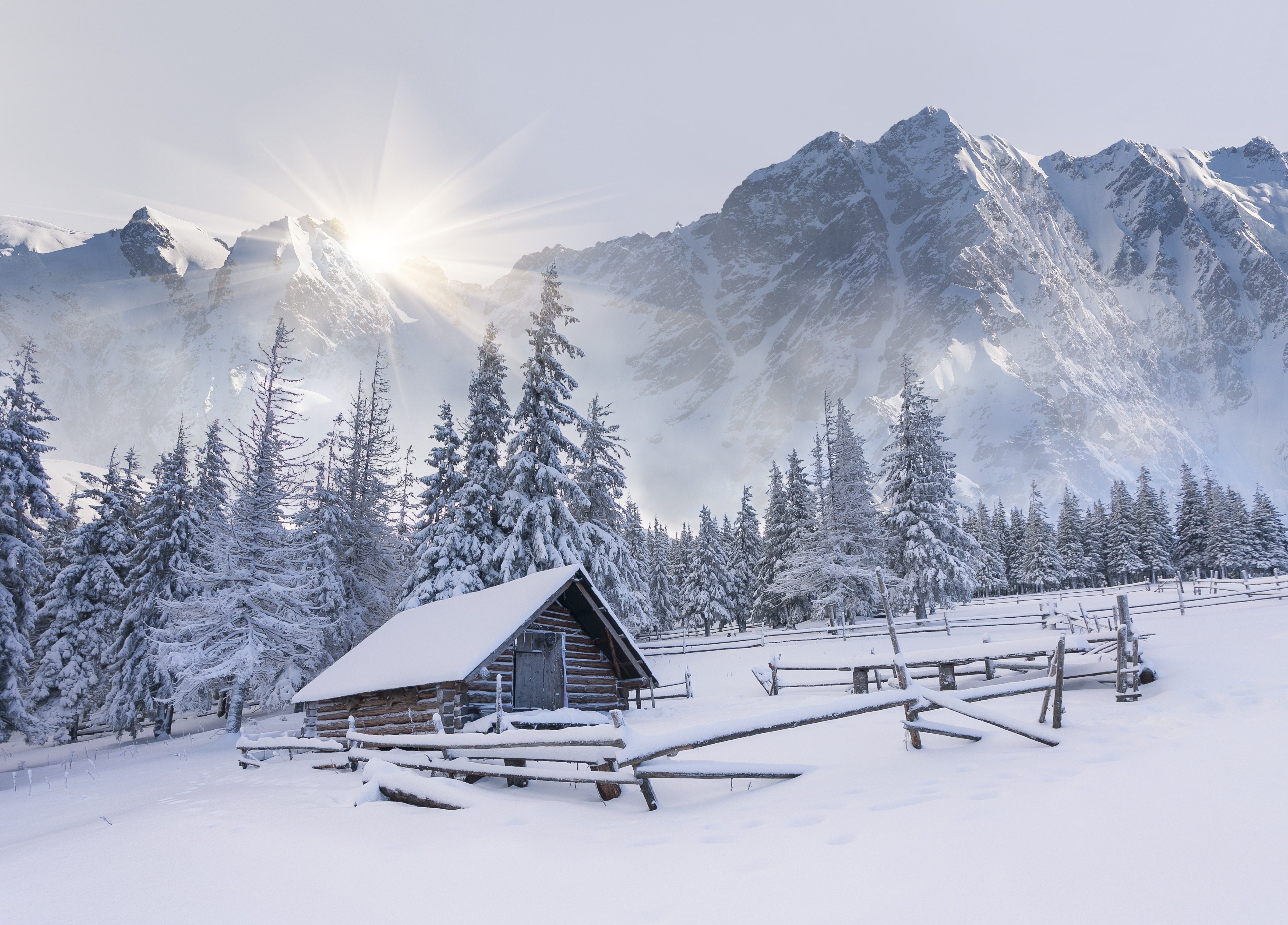 winter Wallpaper